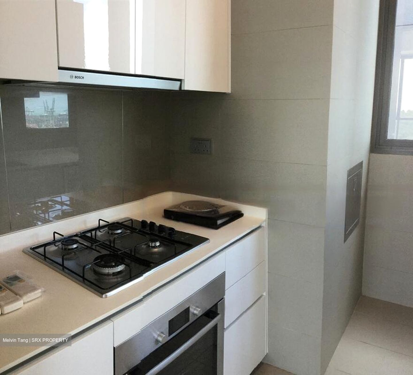 Skyline Residences (D4), Condominium #477794671